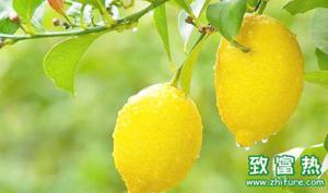 柠檬的营养价值及功效 柠檬用什么水温泡着喝最合适