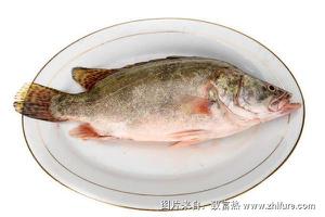 鱖鱼的功效与作用及营养价格