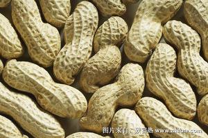 花生功效与作用及禁忌