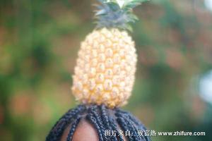 菠萝头发型编织方法