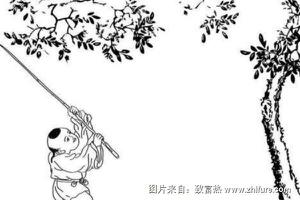 枣树简笔画（图解步骤）