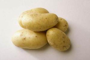 马铃薯功效与作用及禁忌
