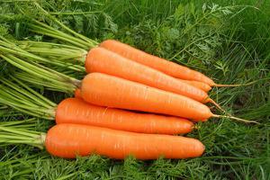 胡萝卜的营养价值 吃胡萝卜补充什么维生素