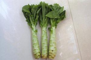 莴笋的功效与作用及禁忌 莴笋营养价值