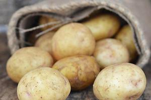 吃土豆会胖吗 吃土豆能减肥吗