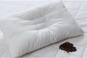 决明子枕头的功效与作用及危害 决明子枕头适合人群 决明子枕头冬天能用吗