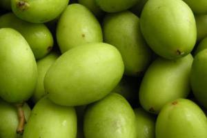 橄榄和槟榔的区别是什么  吃青橄榄的好处