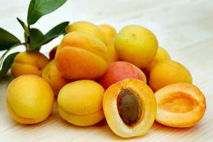 <span style='color:red;'>杏子什么时候成熟</span>（几月） 杏子是什么季节的水果