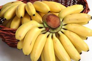 帝王香蕉和普通香蕉的区别是什么  帝王蕉的市场价格