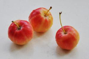  海棠果和苹果的区别是什么 海棠果是什么