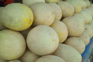 白兰瓜和哈密瓜的区别是什么 白兰瓜的功效与作用