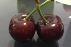 黑樱桃和红樱桃的区别是什么 如何挑选黑樱桃