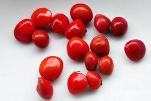 海红豆和相思子的区别是什么 海红豆和相思子的形态特征分别是什么