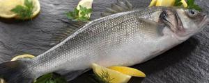 黑鳕鱼和银鳕鱼哪个好 黑鳕鱼和银鳕鱼的区别是什么