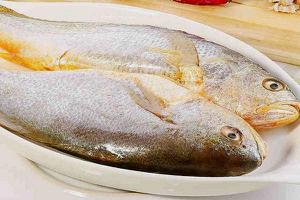 黄花鱼营养价值 如何分辨黄花鱼是否新鲜