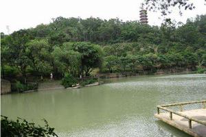 大雁山森林公园好玩吗 大雁山风景区要门票吗