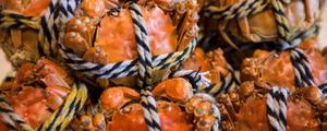 几月吃大闸蟹最好 大闸蟹如何保存