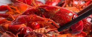 小龙虾是怎么到中国的 大龙虾和小龙虾的区别是什么