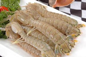 皮皮虾和爬爬虾的区别是什么 吃皮皮虾有什么好处