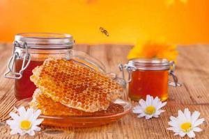 真蜂蜜和假蜂蜜的区别是什么 怎样鉴别蜂蜜的真假