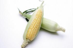 玉米含糖高吗 吃玉米会胖吗