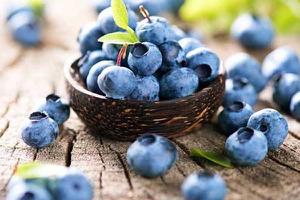 蓝莓产地在哪里 蓝莓需要放冰箱吗