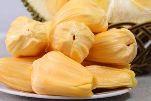 菠萝蜜是发物吗 菠萝蜜熟透了还能吃吗