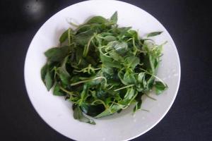 荆芥拌黄瓜怎么做好吃又简单 荆芥的药用吃法