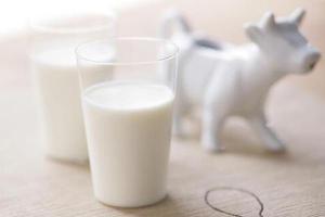 鲜牛奶可以做酸奶吗 鲜牛奶怎么做酸奶