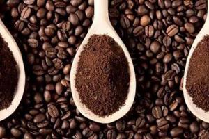 咖啡渣可以养花吗 咖啡渣吸甲醛吗