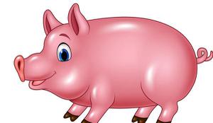 1959、1971、1983、1995、2007、2015年属猪的分别是什么命 属猪的今年的运势