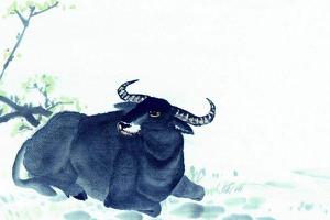 梦见水牛是什么意思 梦到一群大水牛在一起有什么预兆