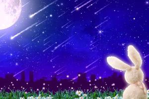 梦见流星雨是什么意思 梦到很壮观的流星雨有什么预兆
