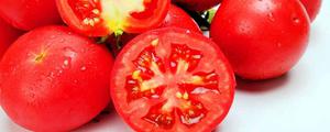 西红柿的酸碱度是怎么样的 番茄习性
