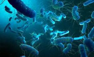 霍乱为什么是甲类传染病