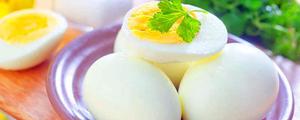 蛋白蛋黄哪一个营养好 蛋白蛋黄哪一个热量高