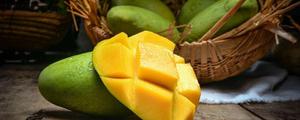 亚热带水果有哪些 新鲜的热带水果有哪些特点