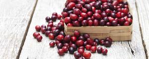 蔓越莓是什么物品 蔓越梅是哪个国家的特色产品