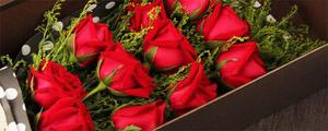 不同颜色的玫瑰花语含义是什么 不同颜色的玫瑰花花语