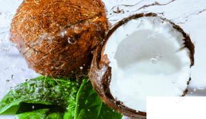 椰子里面为什么有水 夏天喝椰子汁有哪些好处呢