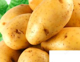 土豆放冰箱会中毒吗 土豆怎么保存不出芽