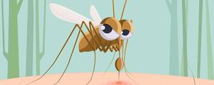 房间内最有效的驱蚊方法 房间内合理的驱蚊方法有什么