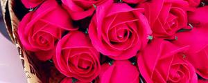 十八朵红玫瑰花代表什么