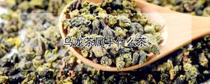 乌龙归属于什么茶