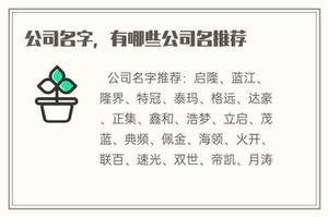 公司名称，有哪些公司名强烈推荐