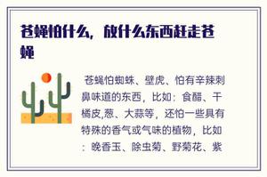 苍蝇怕什么，放什么物品赶跑蚊虫