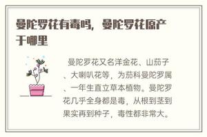 曼陀罗花有毒吗，曼陀罗花原产于哪里