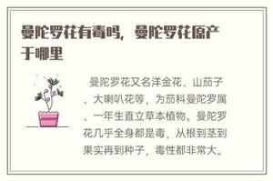 曼陀罗花有毒吗，曼陀罗花原产于哪里