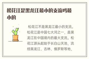 松花江是黑龙江省最小的干支流吗最小的