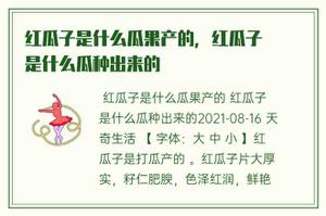 红瓜子是什么瓜果产的，红瓜子是什么瓜种出来的